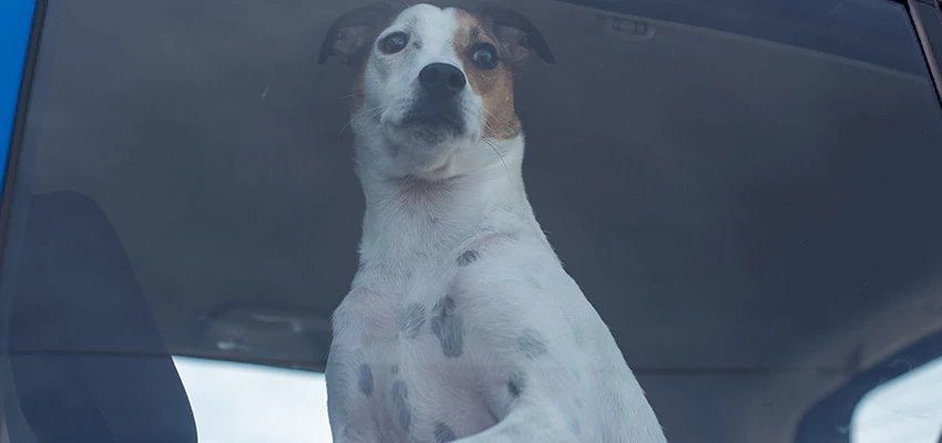 Car Lockout Solutions in Oakley, California