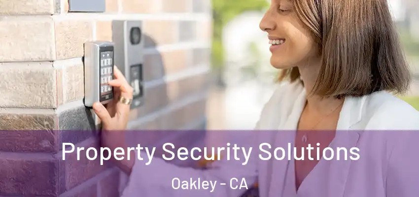  Property Security Solutions Oakley - CA